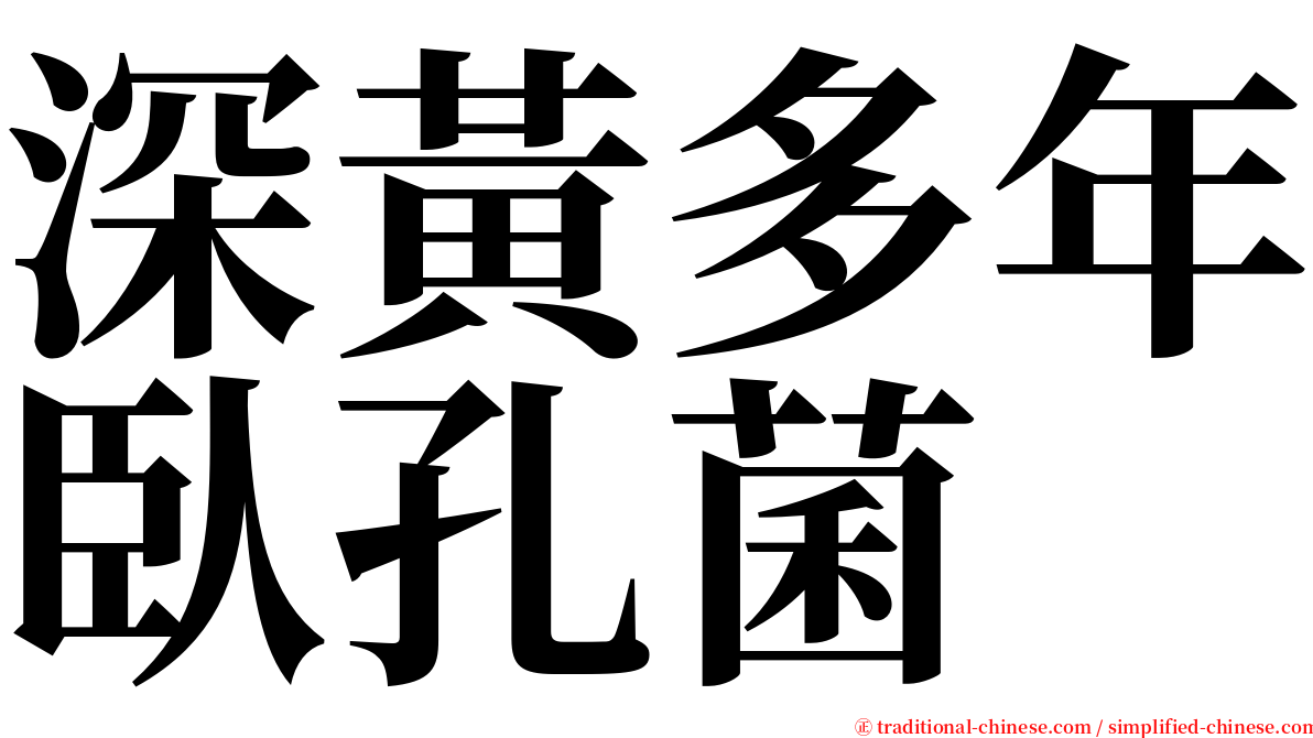 深黃多年臥孔菌 serif font