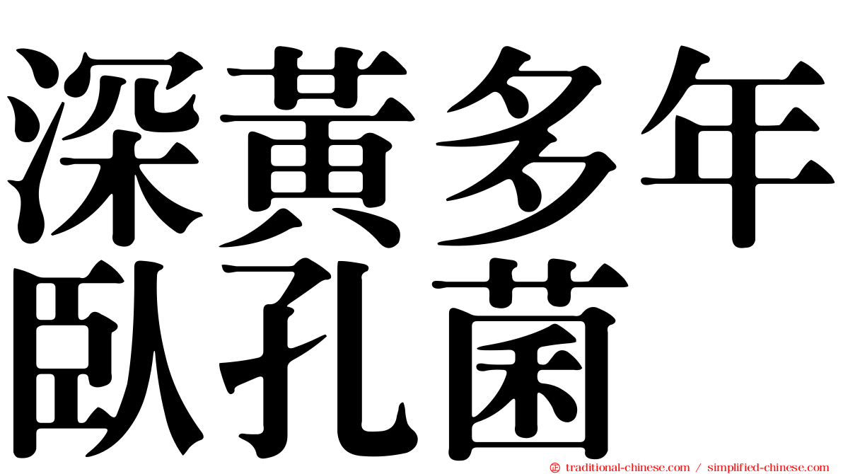 深黃多年臥孔菌