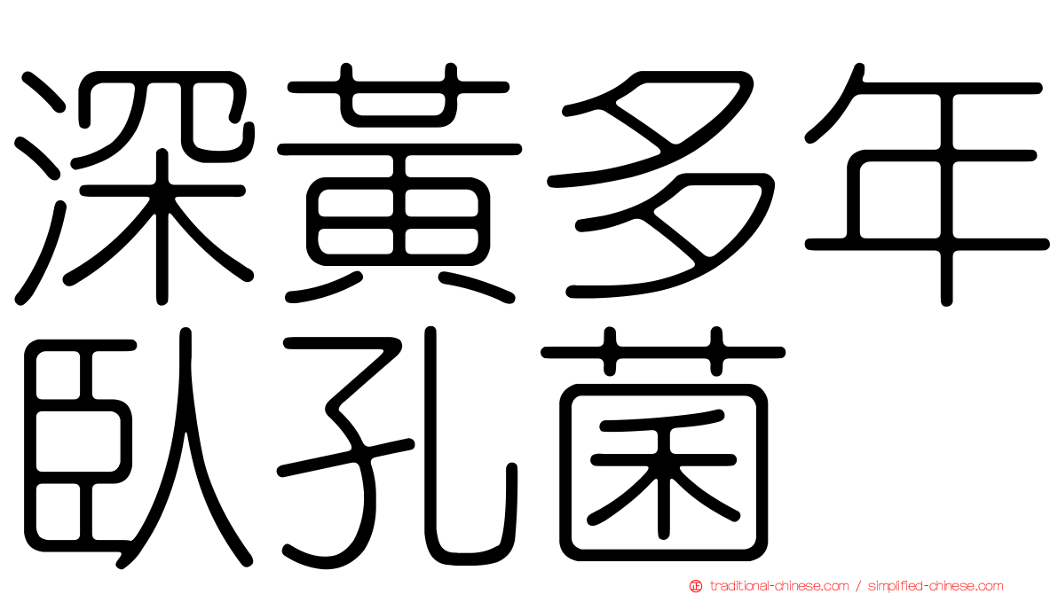 深黃多年臥孔菌