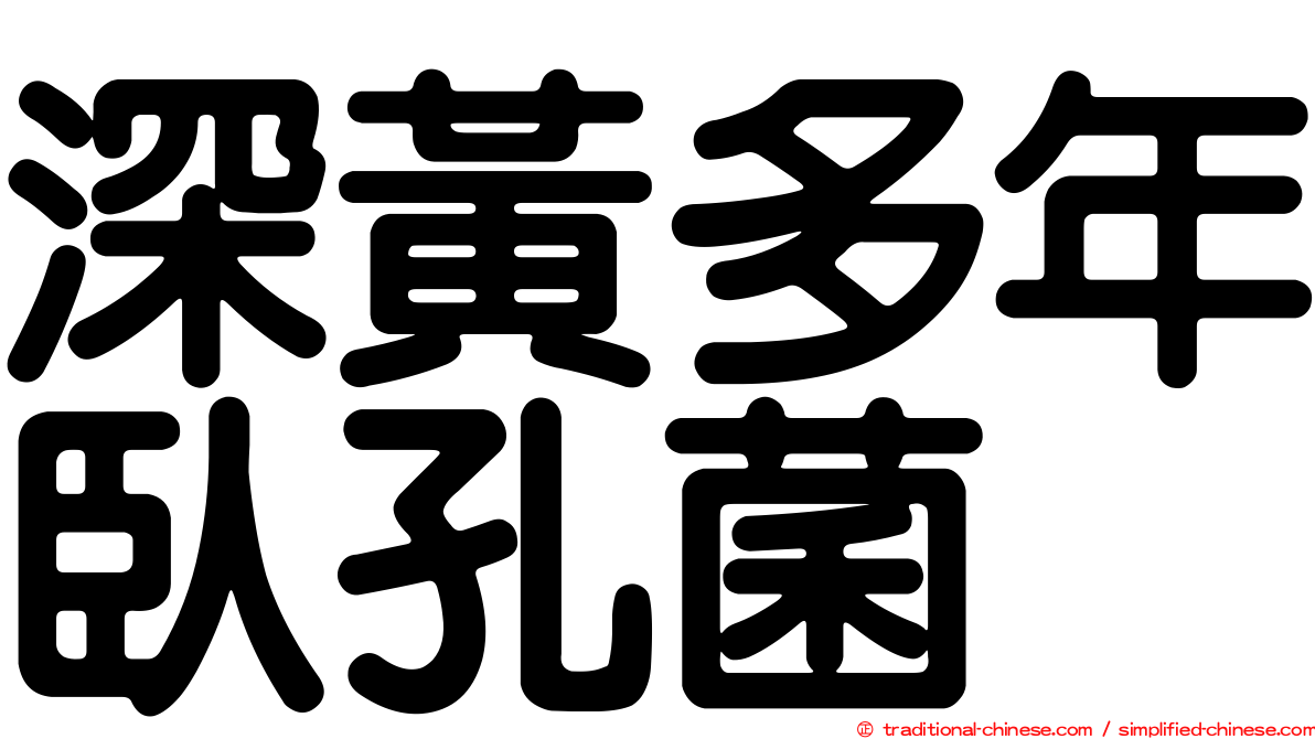 深黃多年臥孔菌