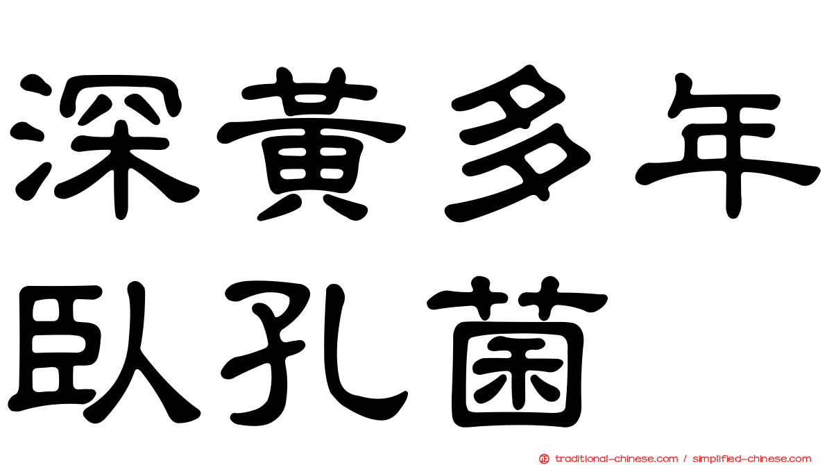 深黃多年臥孔菌