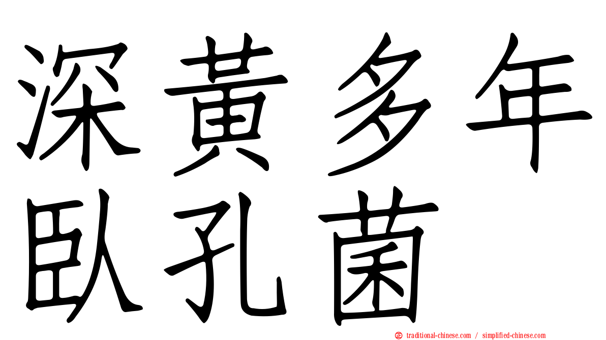 深黃多年臥孔菌