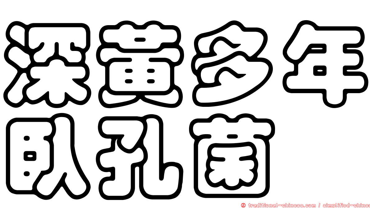 深黃多年臥孔菌