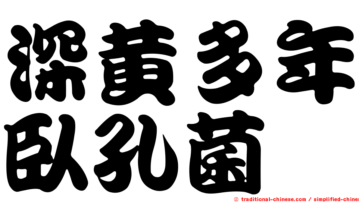 深黃多年臥孔菌