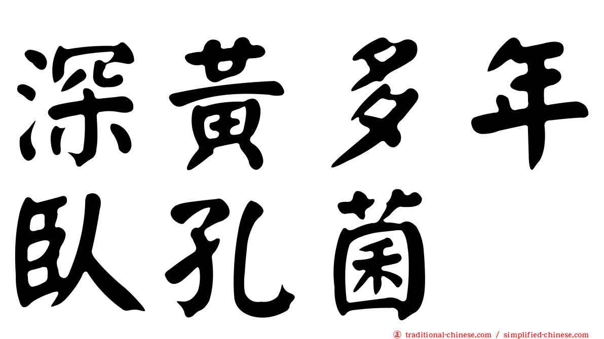 深黃多年臥孔菌