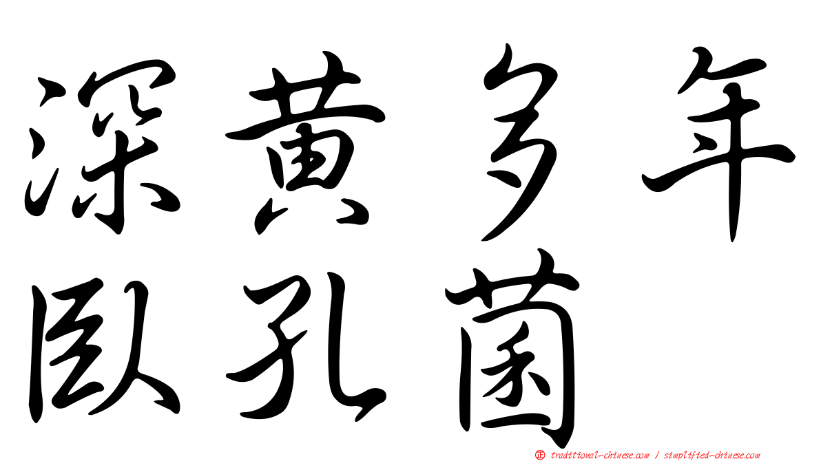 深黃多年臥孔菌