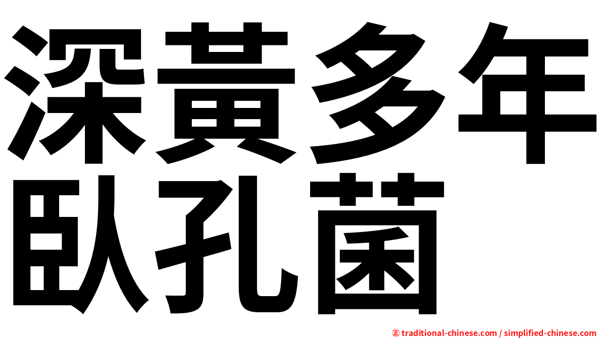 深黃多年臥孔菌