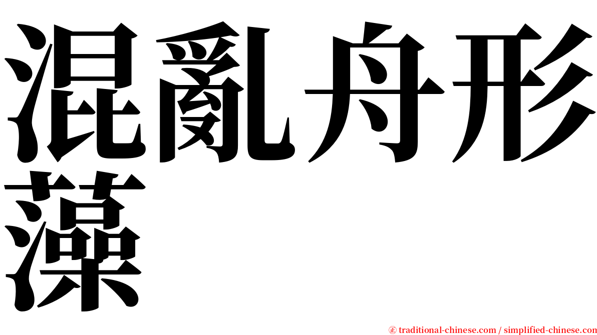 混亂舟形藻 serif font