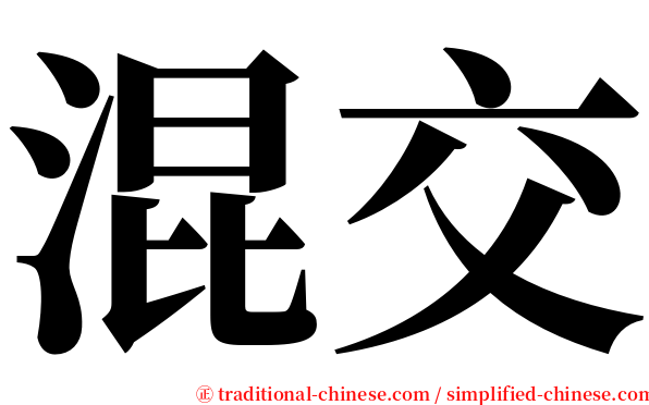 混交 serif font