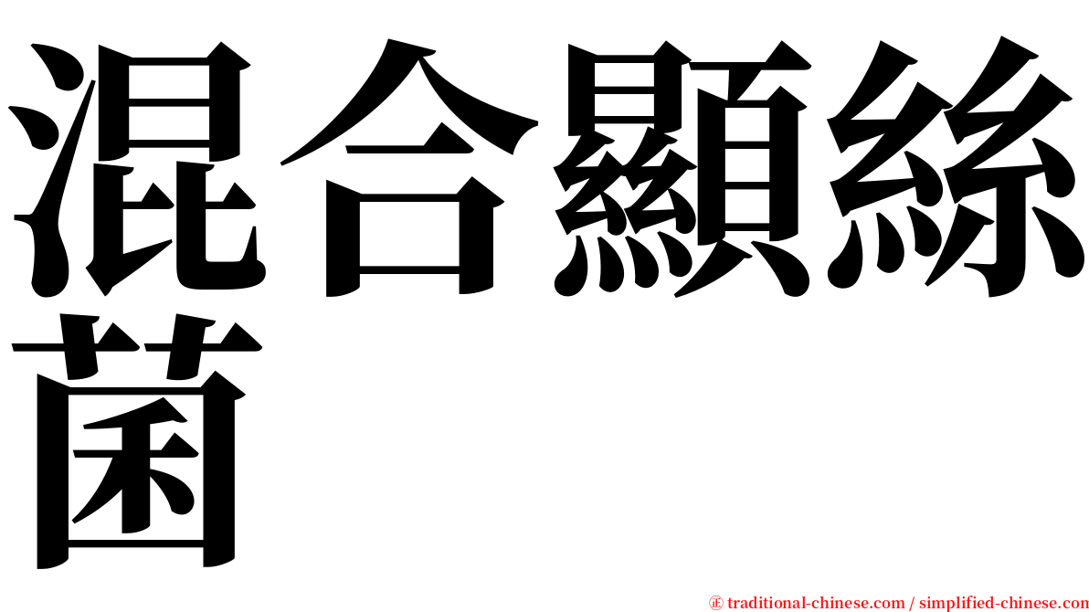 混合顯絲菌 serif font