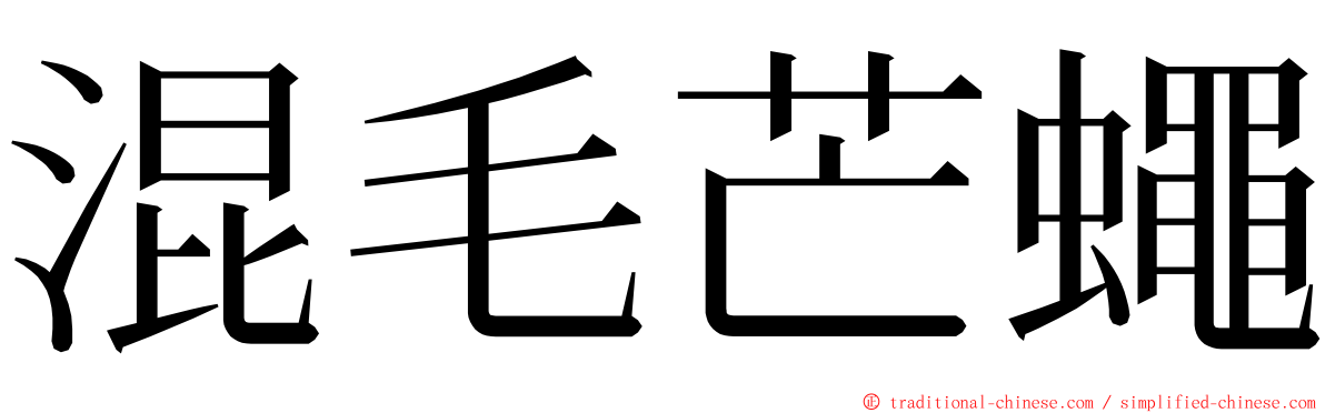 混毛芒蠅 ming font