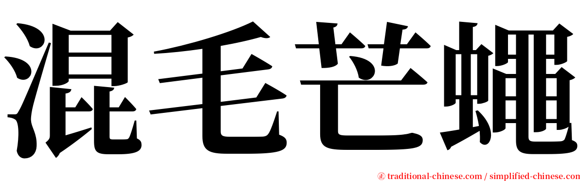 混毛芒蠅 serif font