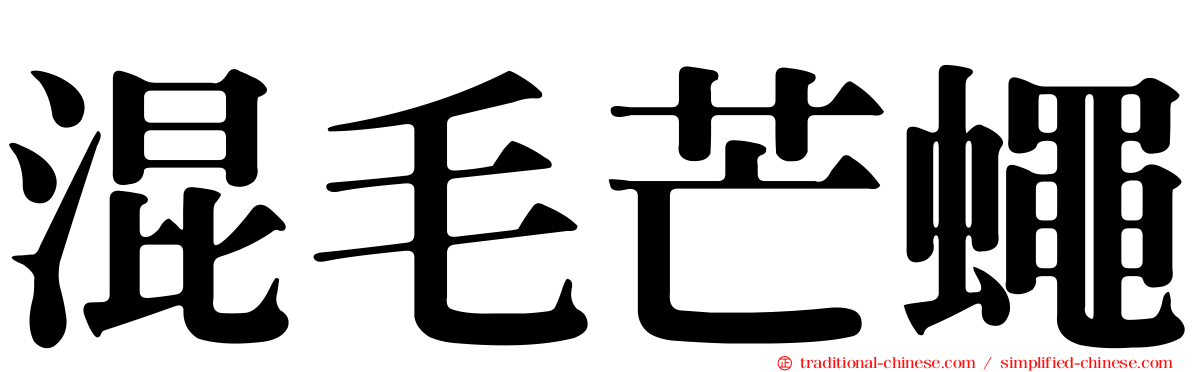 混毛芒蠅