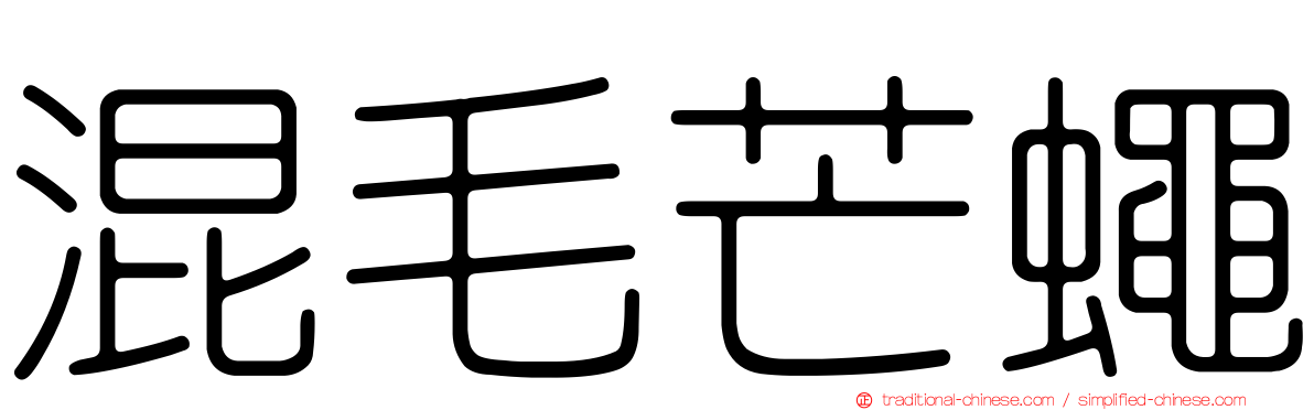 混毛芒蠅