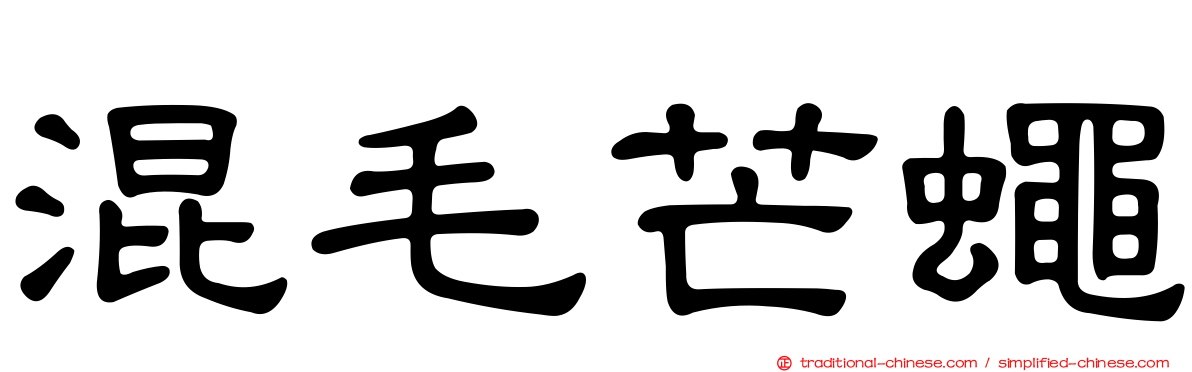 混毛芒蠅