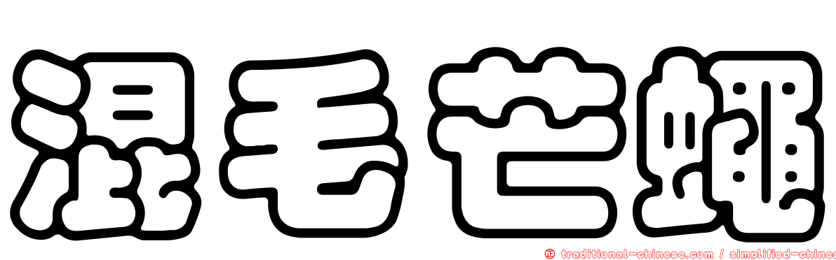 混毛芒蠅