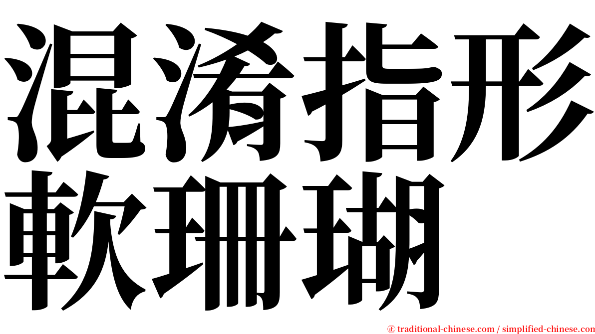 混淆指形軟珊瑚 serif font