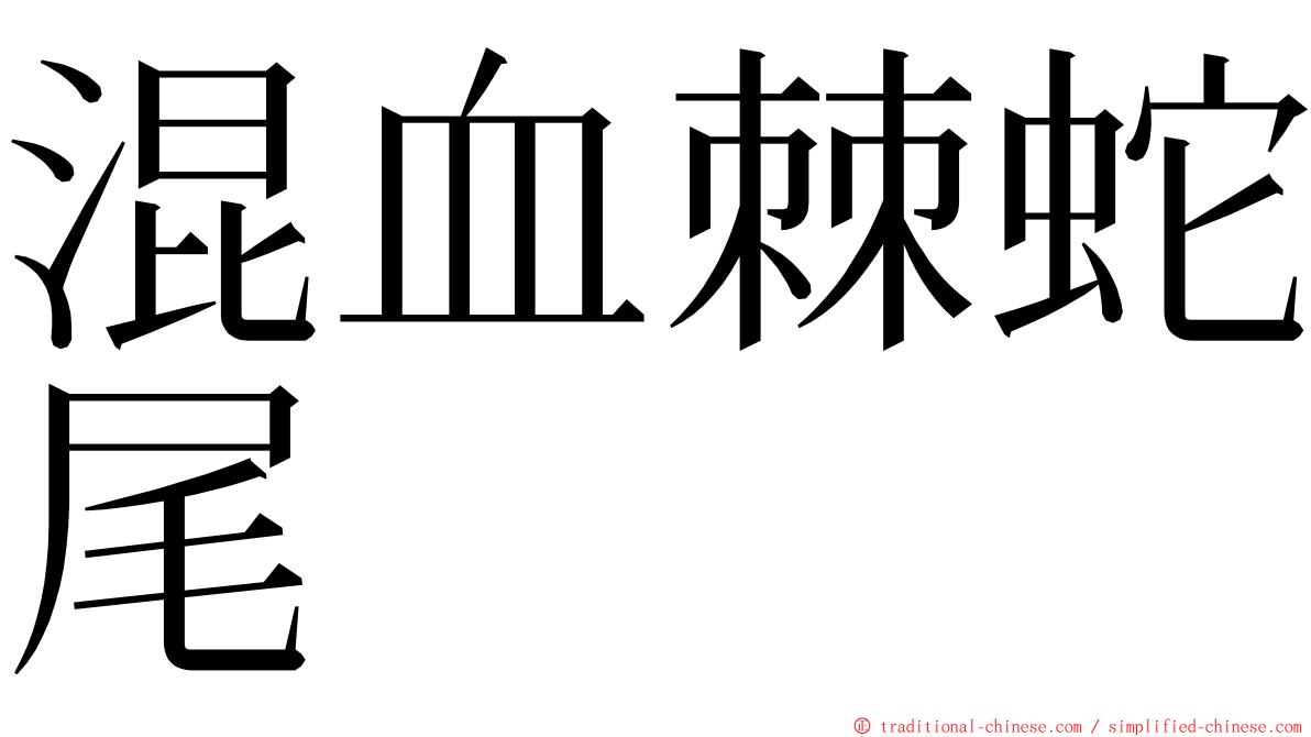 混血棘蛇尾 ming font