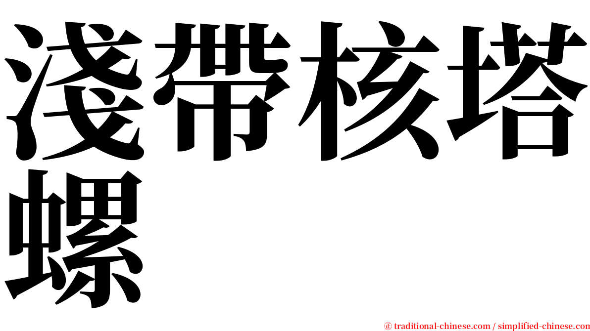 淺帶核塔螺 serif font