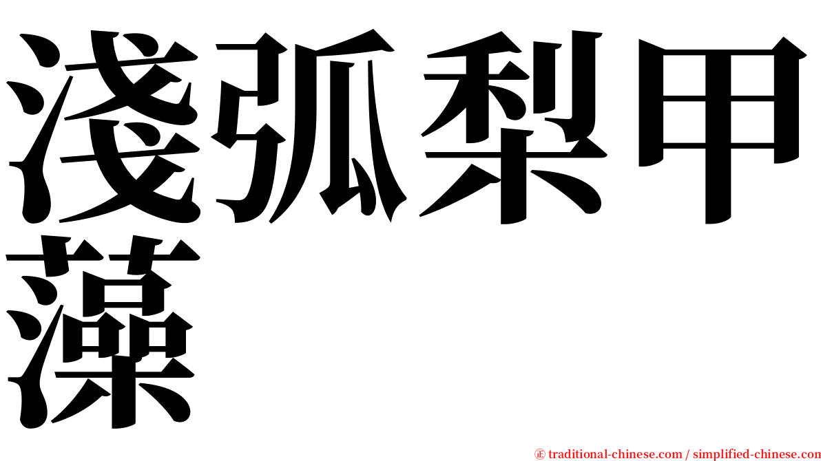 淺弧梨甲藻 serif font