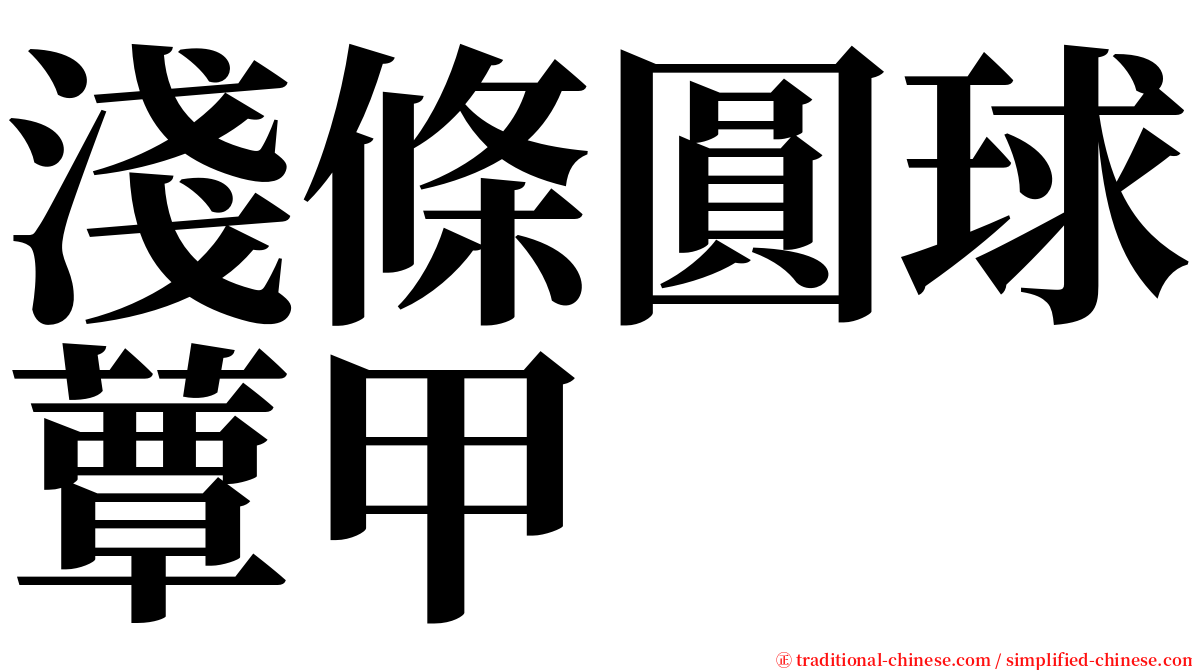 淺條圓球蕈甲 serif font