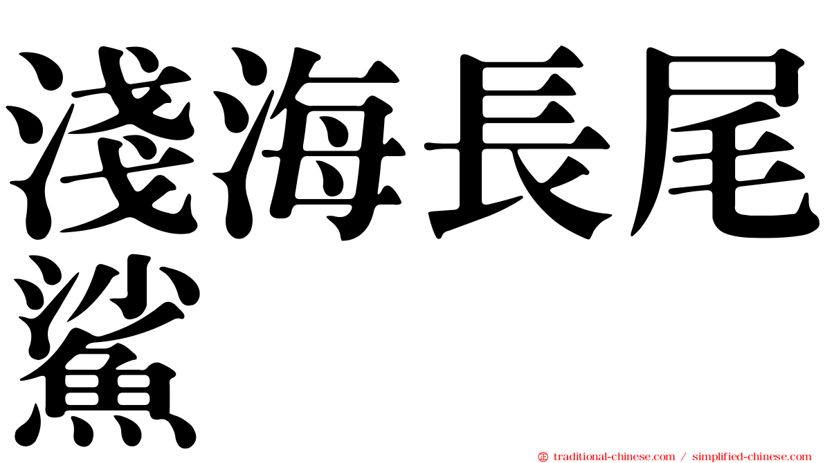淺海長尾鯊