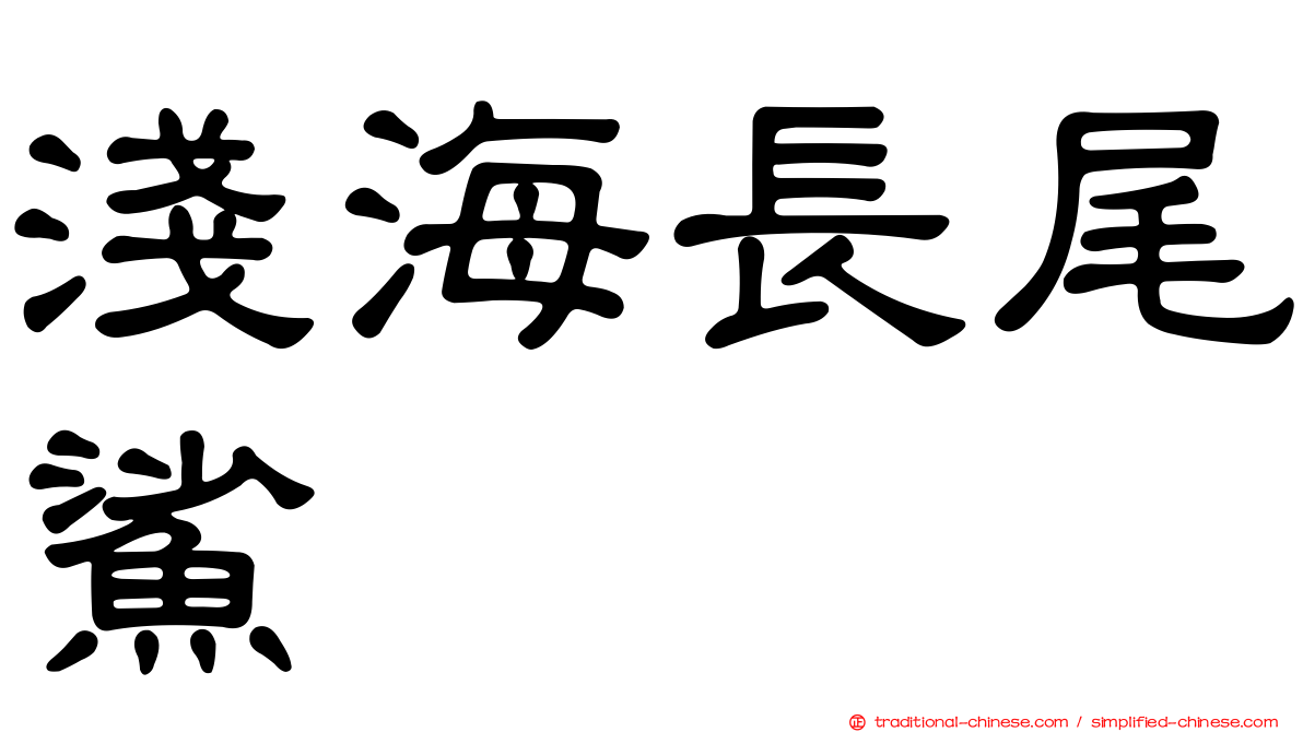 淺海長尾鯊