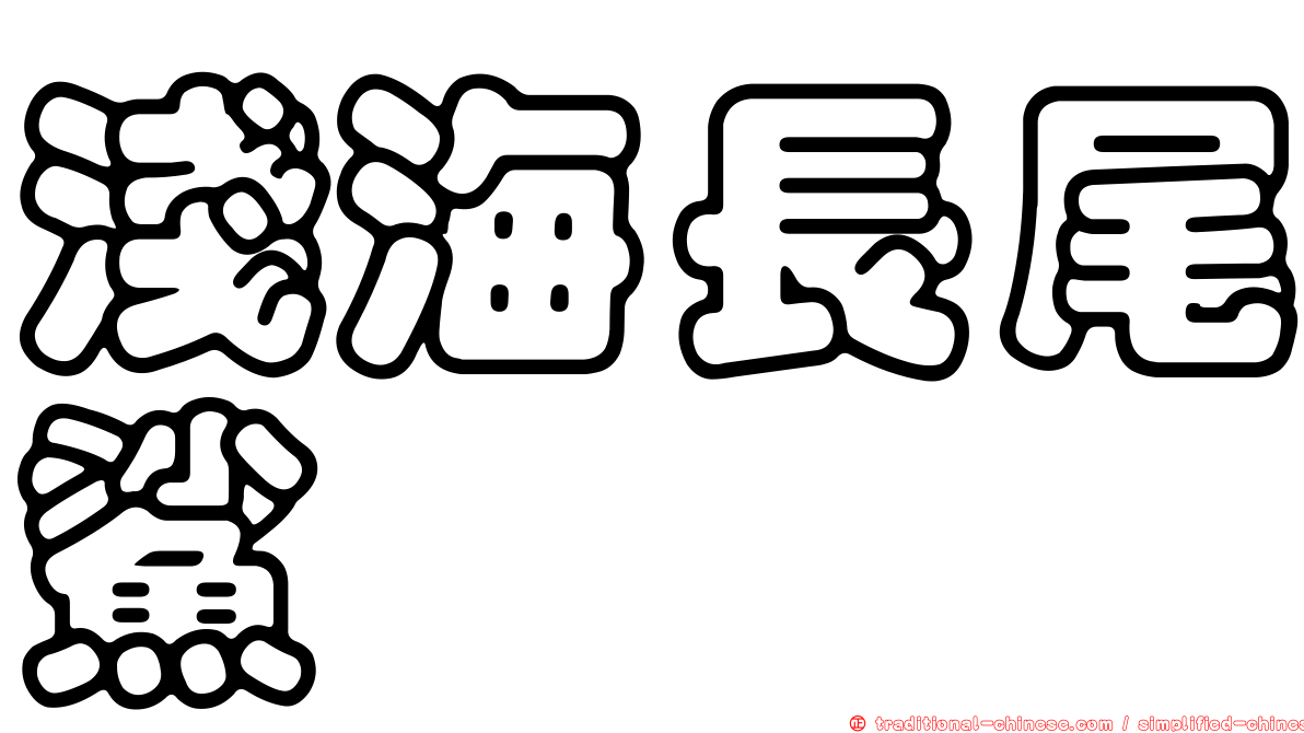 淺海長尾鯊