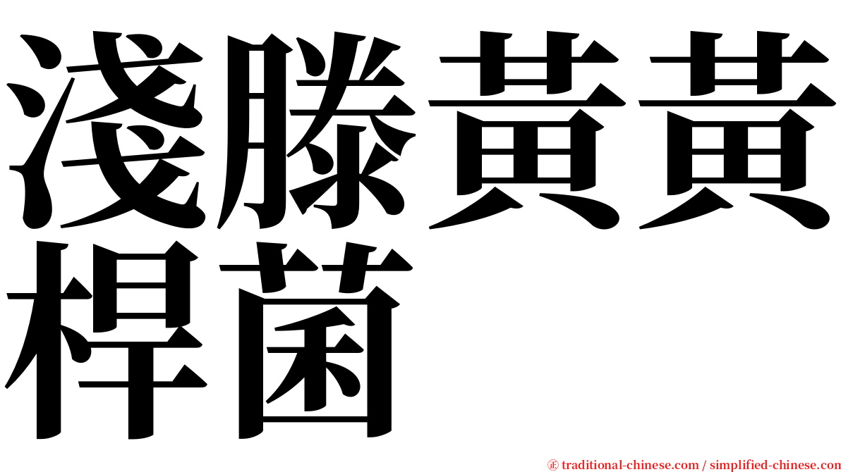 淺滕黃黃桿菌 serif font