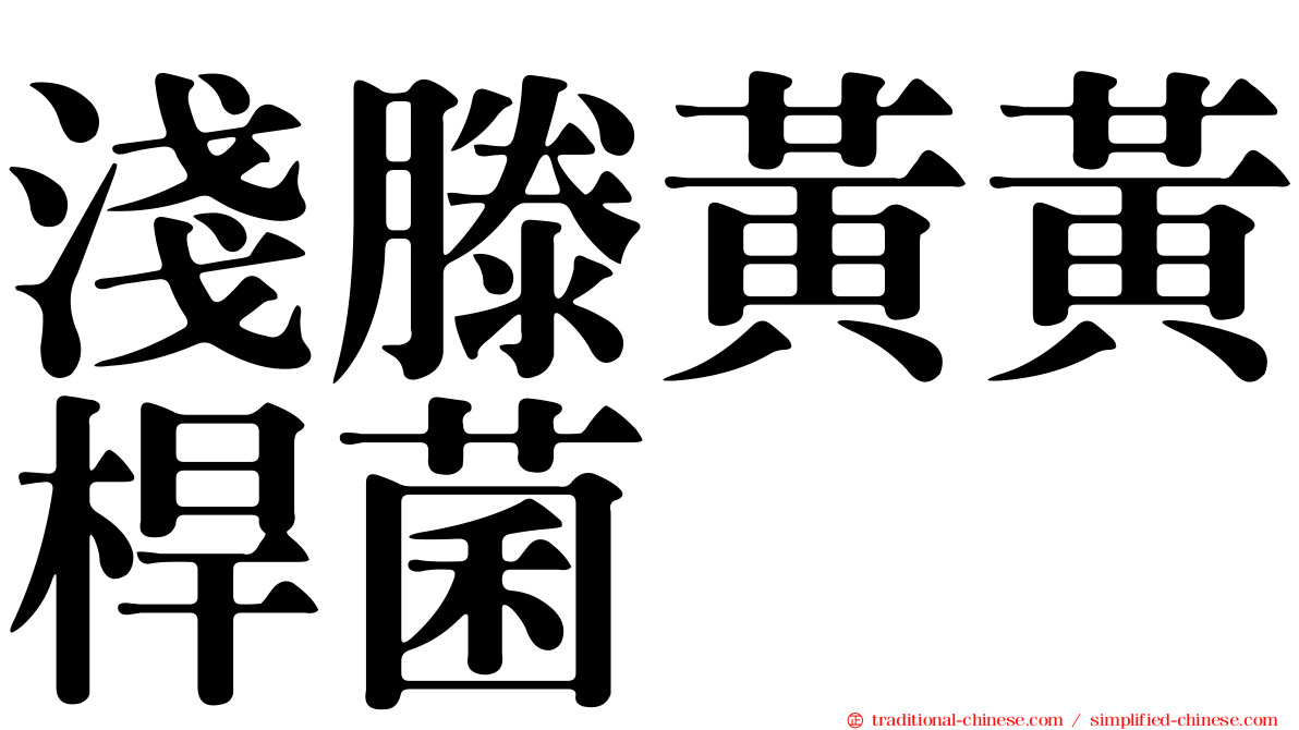 淺滕黃黃桿菌