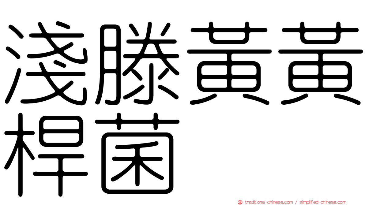 淺滕黃黃桿菌