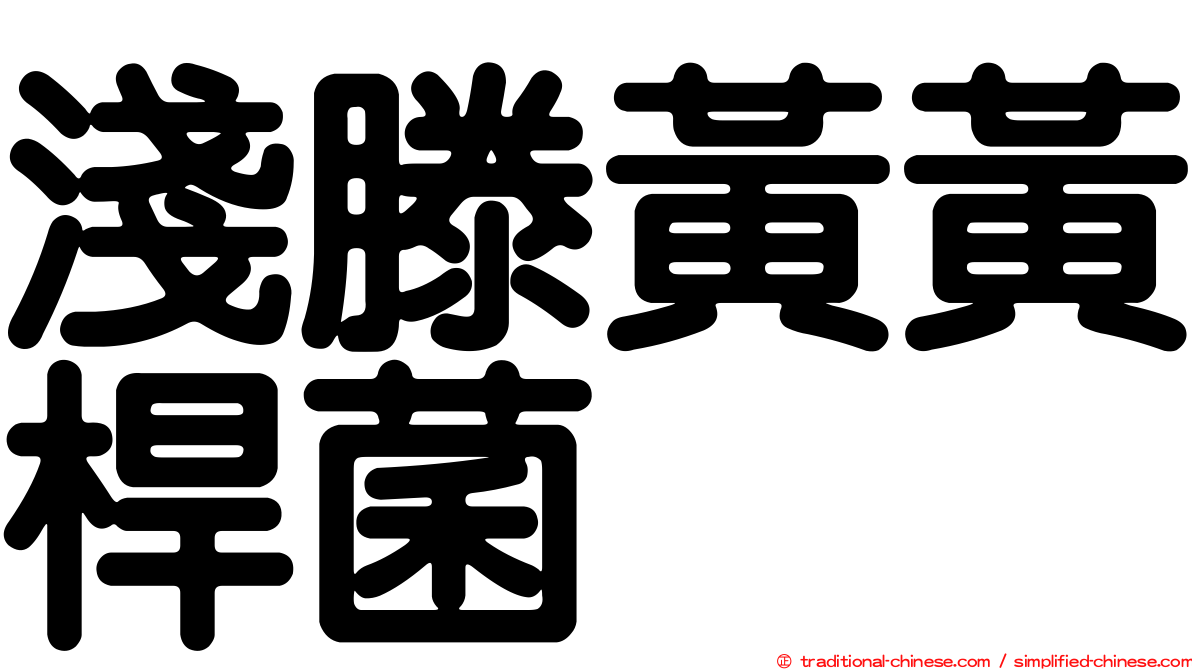淺滕黃黃桿菌
