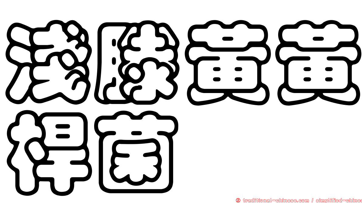 淺滕黃黃桿菌