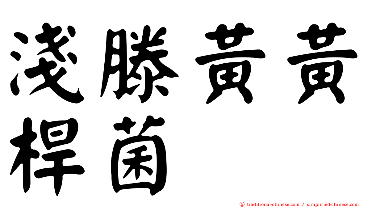 淺滕黃黃桿菌