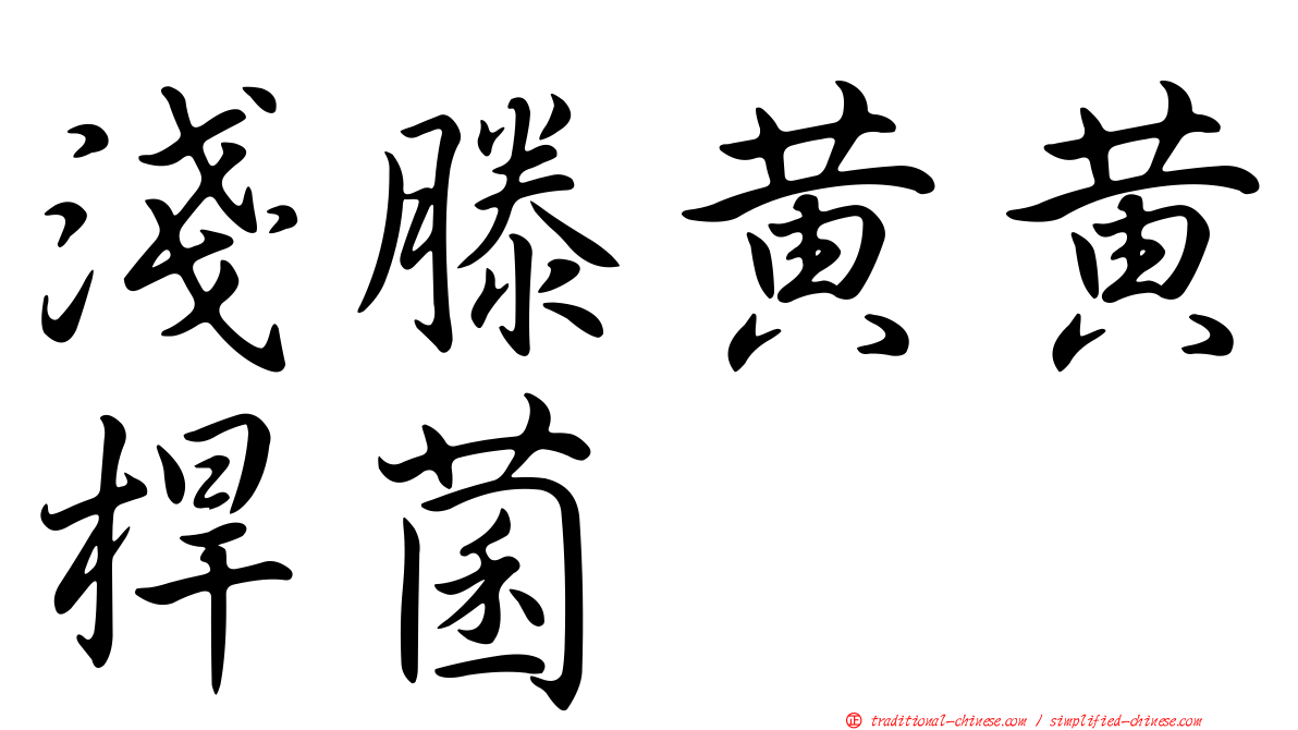 淺滕黃黃桿菌