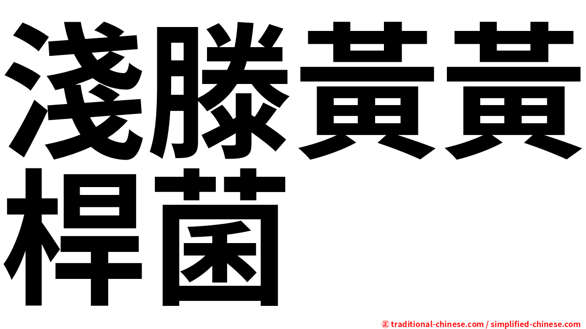淺滕黃黃桿菌