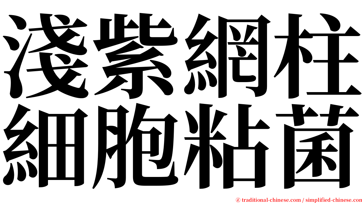 淺紫網柱細胞粘菌 serif font