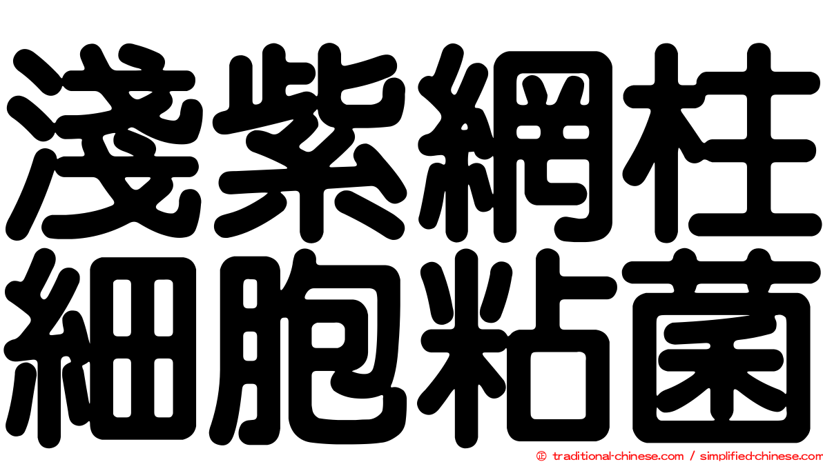 淺紫網柱細胞粘菌