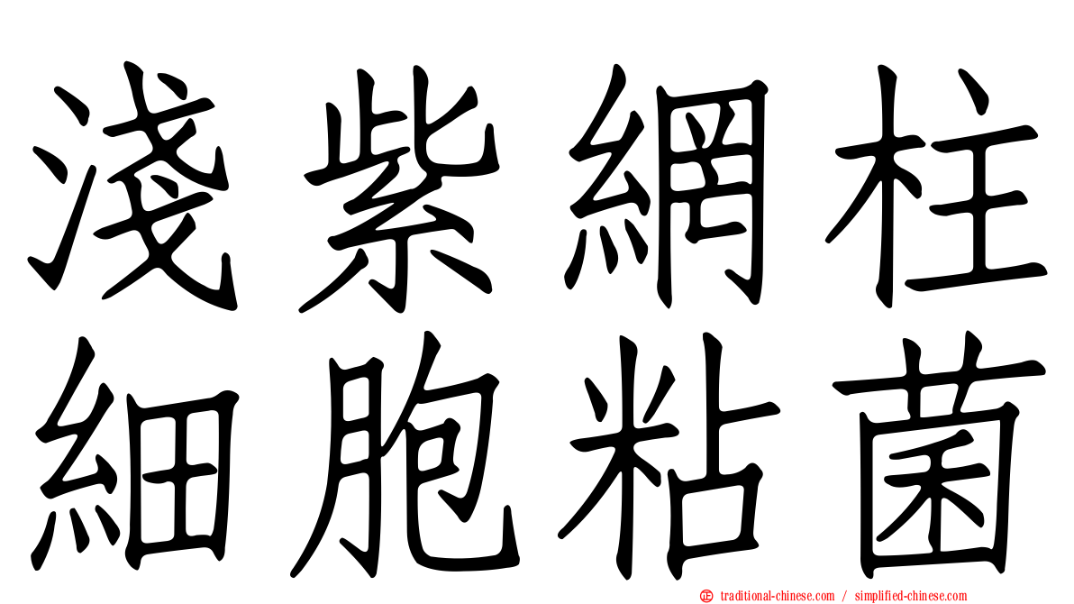 淺紫網柱細胞粘菌