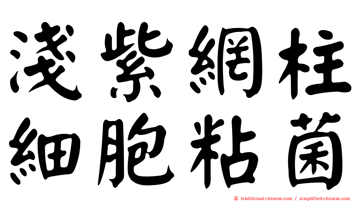 淺紫網柱細胞粘菌