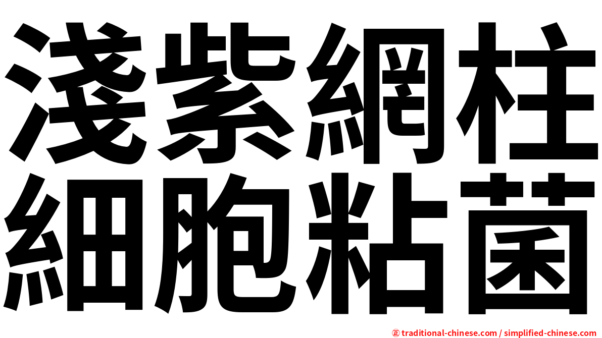 淺紫網柱細胞粘菌
