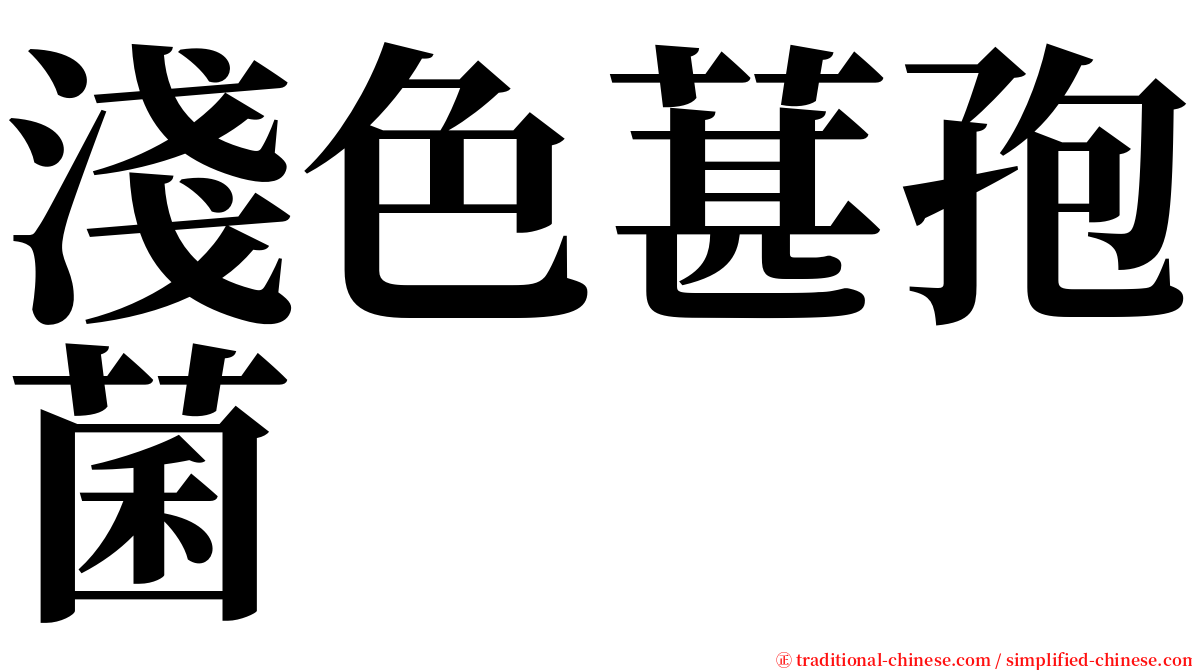 淺色葚孢菌 serif font