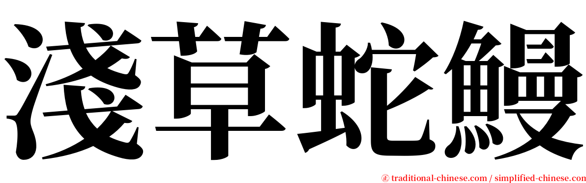 淺草蛇鰻 serif font