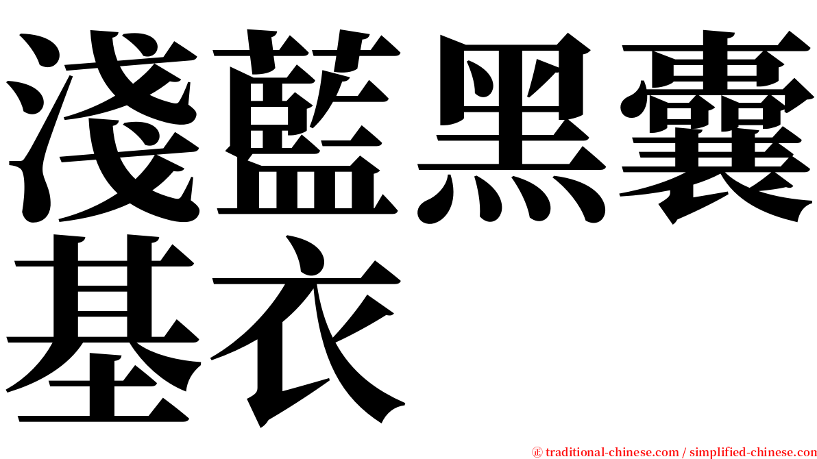 淺藍黑囊基衣 serif font