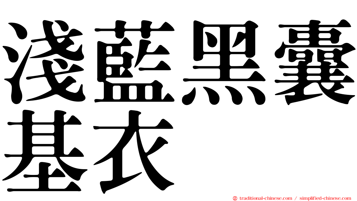 淺藍黑囊基衣
