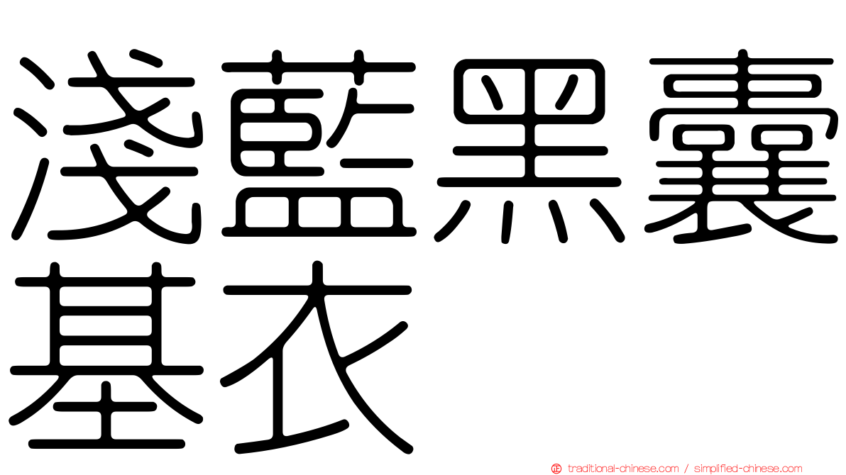 淺藍黑囊基衣