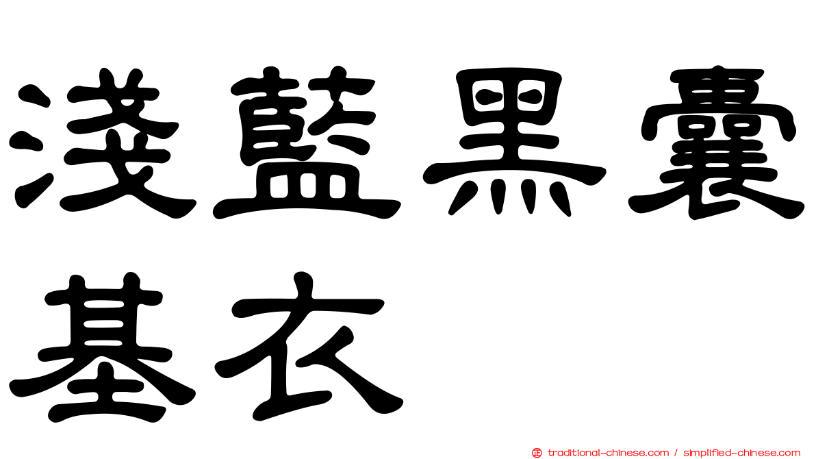 淺藍黑囊基衣