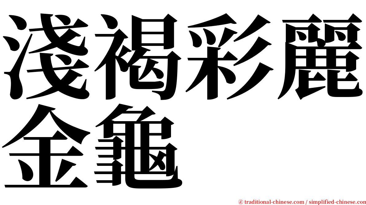 淺褐彩麗金龜 serif font