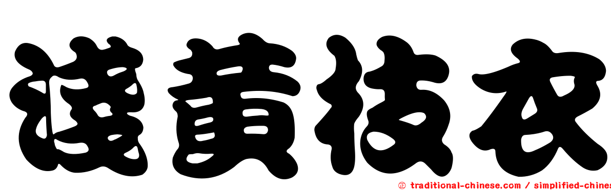 淺黃枝衣