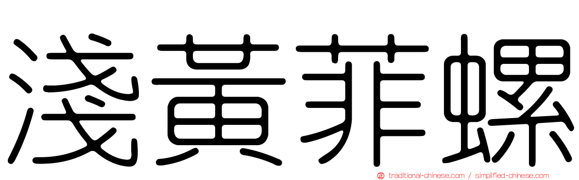 淺黃菲螺